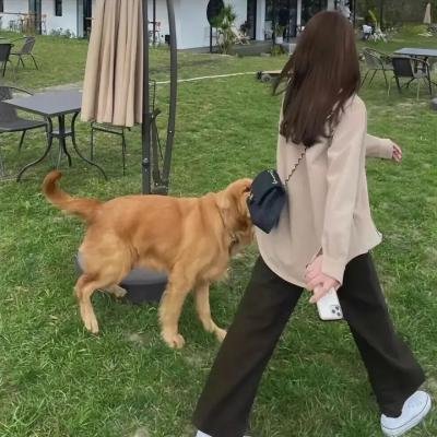 路上的陌生人